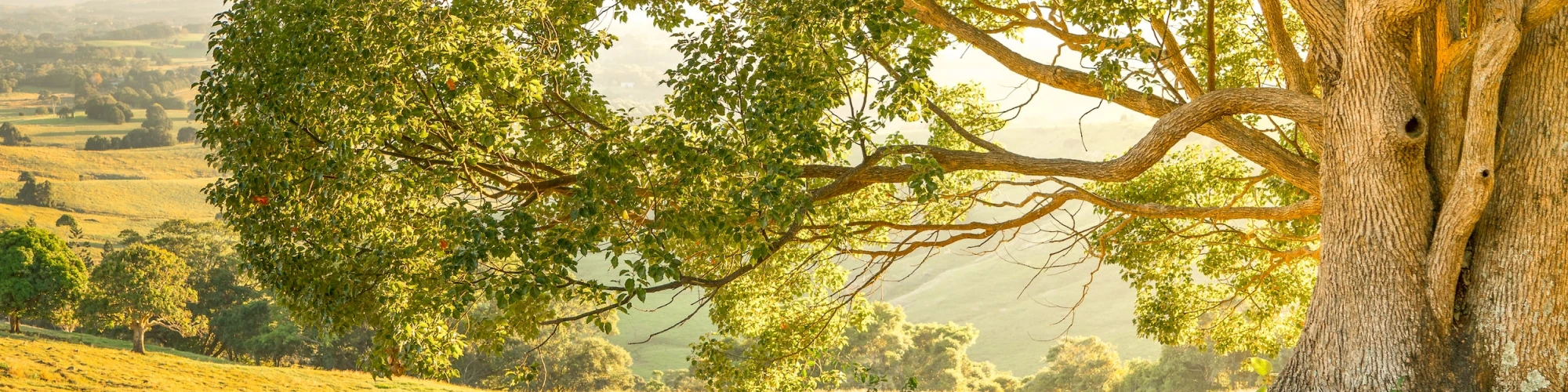 Ebook Vấn đáp về Pháp